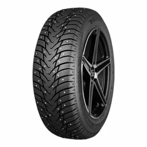 Nankang 205/55R16  SW-8 naelutatud 94T XL